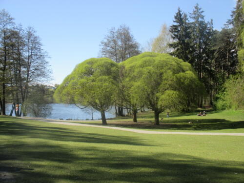 IMG 3657 resize