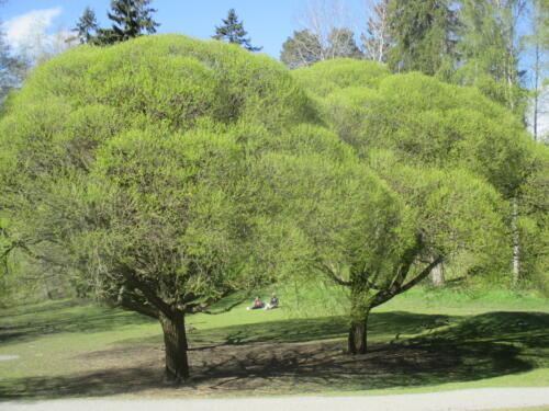 IMG 3659 resize